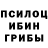 Галлюциногенные грибы Psilocybe Bro Ter