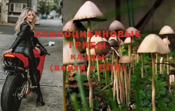 COCAINE Бородино