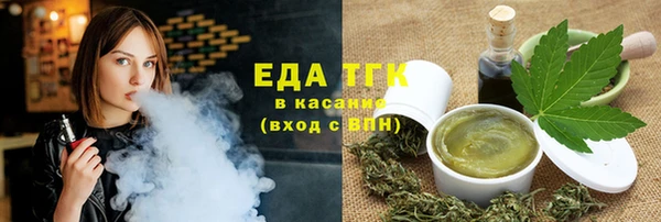 индика Бугульма
